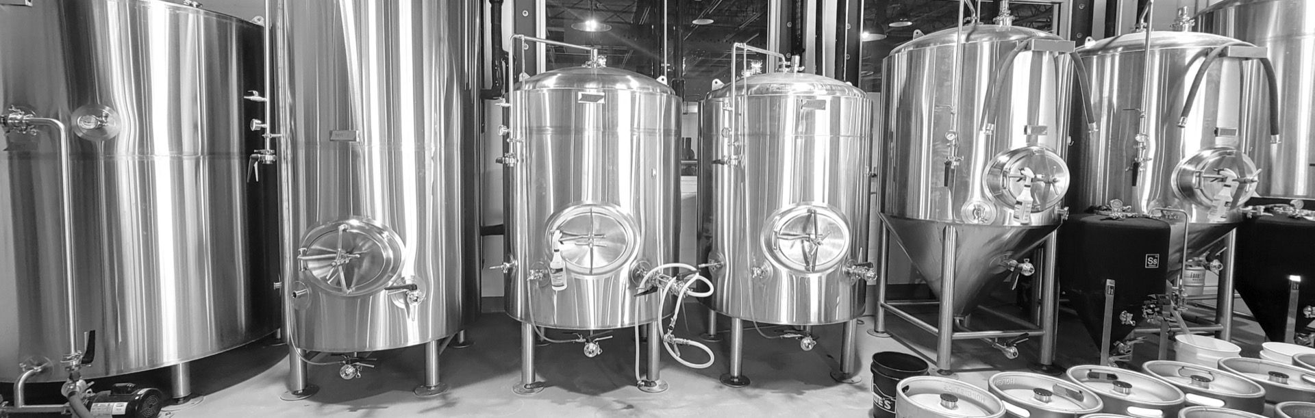 Celebration Brewing Company